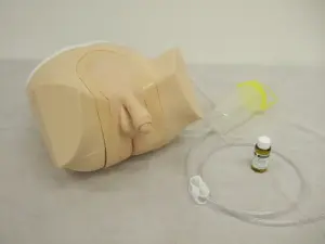 導尿・浣腸シミュレータ:男性モデル