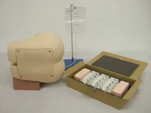 腰椎・硬膜外穿刺シミュレータ