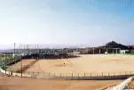 藤山野球場